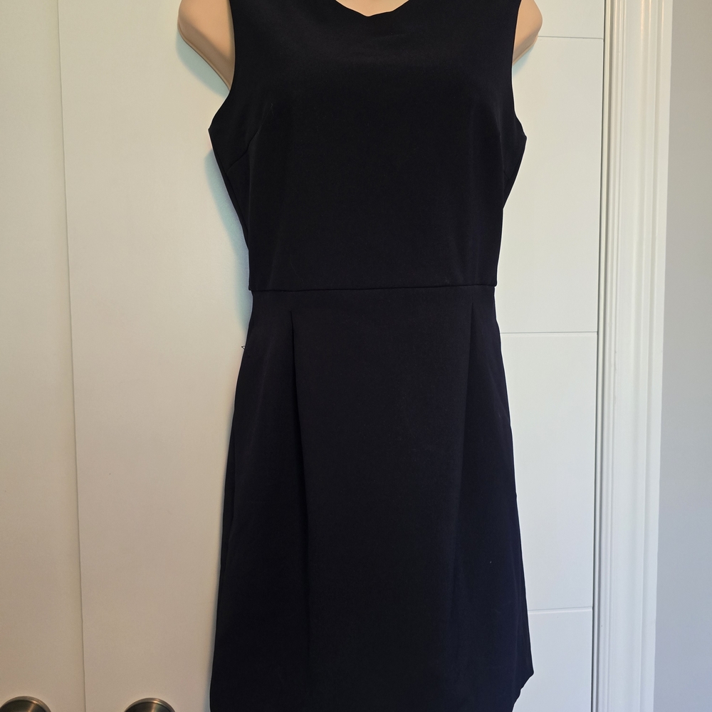 Zara Black Sleeveless Mini Dress